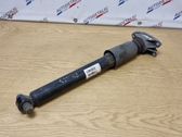 Rear shock absorber/damper