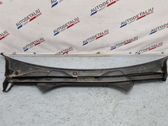 Wiper trim