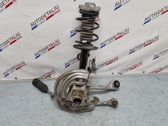 Front wheel hub spindle knuckle
