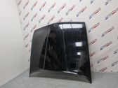 Engine bonnet/hood