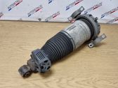Shock absorber/damper/air suspension