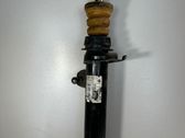 Front shock absorber with coil spring