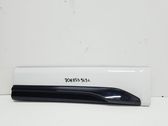 Rear door trim (molding)