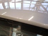 Tailgate/trunk spoiler