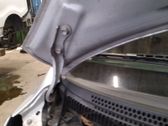 Scharnier Motorhaube