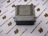 Electric power steering pump