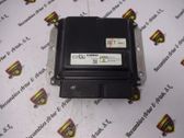 Electric power steering pump