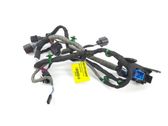 Front door wiring loom