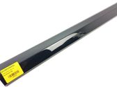 Rear door trim (molding)