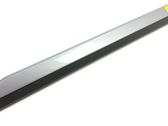 Rear door trim (molding)