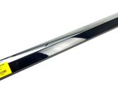 Rear door trim (molding)