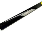 Rear door trim (molding)