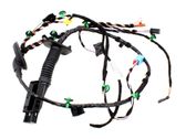 Front door wiring loom