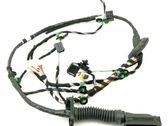 Front door wiring loom