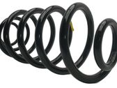 Muelle espiral delantero