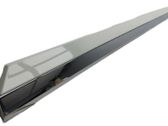 Rear door trim (molding)