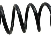 Front coil spring