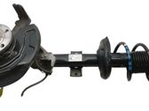 Front shock absorber/damper