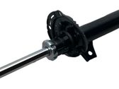 Front shock absorber/damper