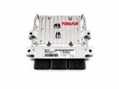 Engine control unit/module ECU