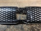 Front bumper upper radiator grill