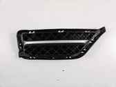 Front fog light trim/grill