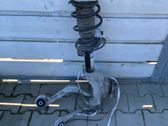 Front wheel hub spindle knuckle