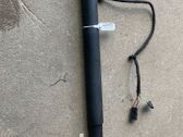 Tailgate/trunk strut/damper