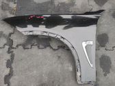 Fender