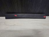 Rear door trim (molding)