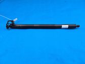 Tailgate/trunk/boot lift motor