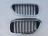 Front grill