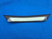 Rear sill trim cover