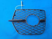 Grille antibrouillard avant
