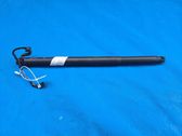 Tailgate/trunk/boot lift motor