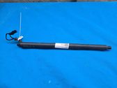 Tailgate/trunk strut/damper