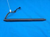 Tailgate/trunk strut/damper