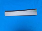 Rear door trim (molding)