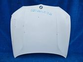 Engine bonnet/hood