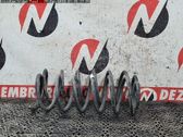 Rear coil spring