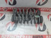 Rear coil spring