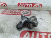 EGR valve