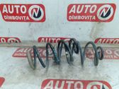 Rear coil spring