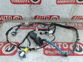 Front door wiring loom