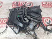 Colector de admisión