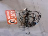 Engine installation wiring loom
