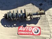 Front shock absorber with coil spring