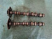 Camshaft