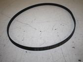 Alternator belt