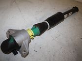Stoßdämpfer hinten